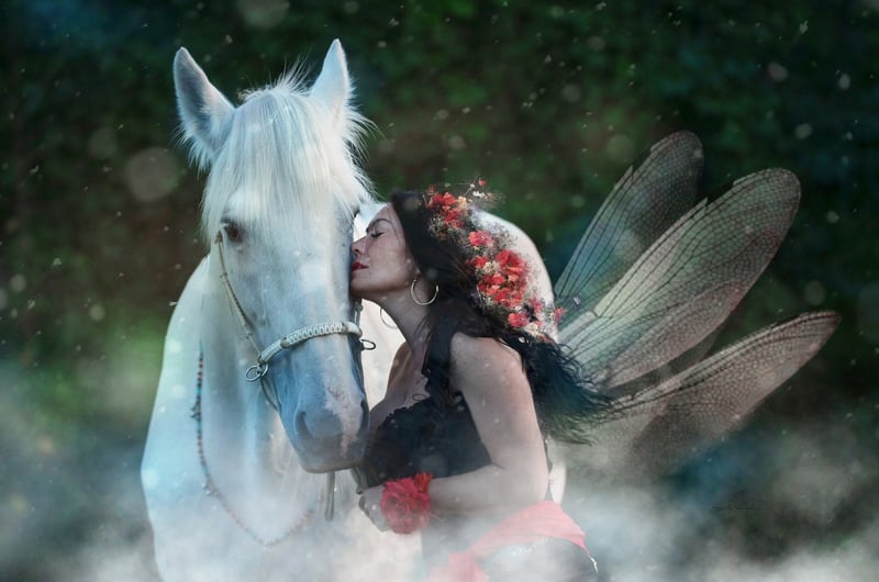 Dreamy Fairy Forests