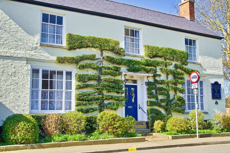 Griffin Topiary Creations
