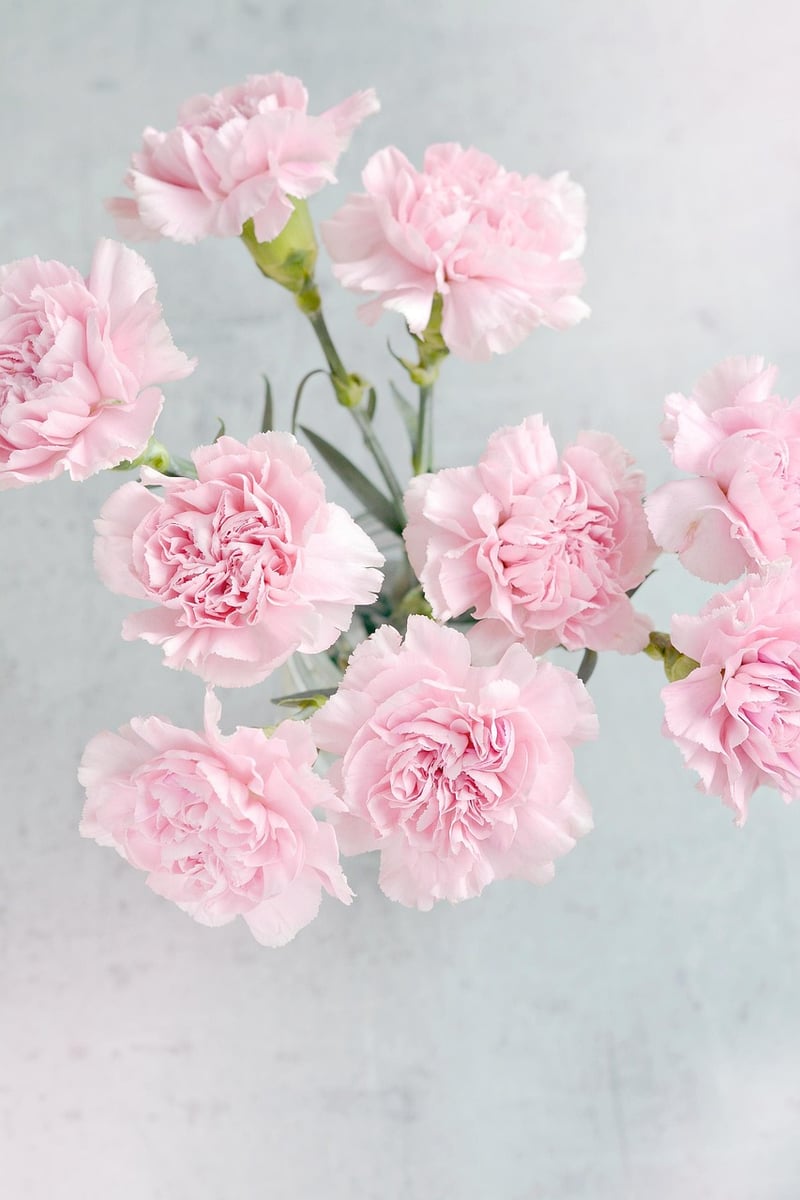 Mythical Flower Arrangements