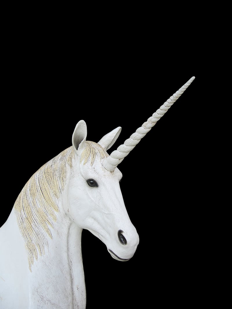 Unicorn Inspired Landscapes