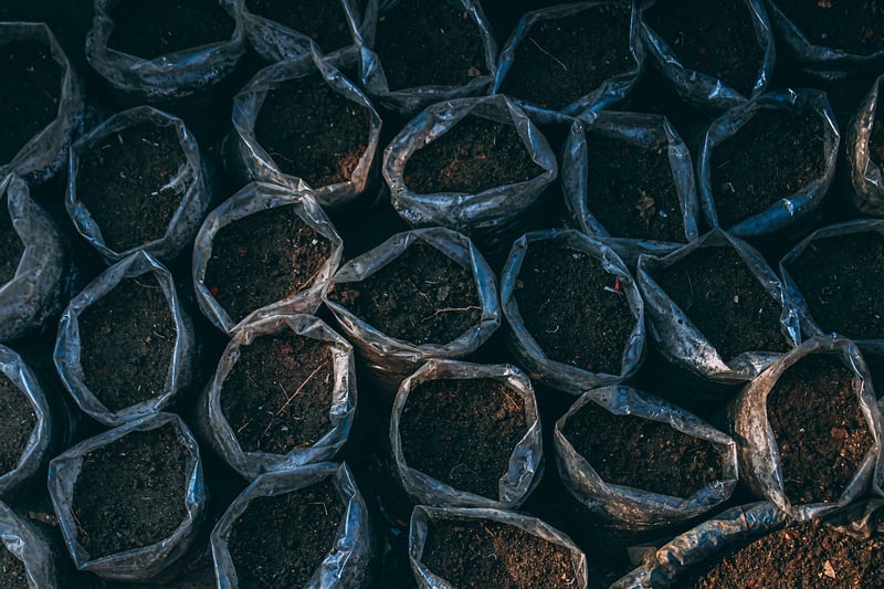 Enchanted Soil